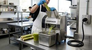 The Impact of Voltage and Power Supply on Commercial Juicer Performance