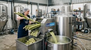 Brewing Sugarcane Kombucha: Using Fresh Cane Juice for Fermented Beverages